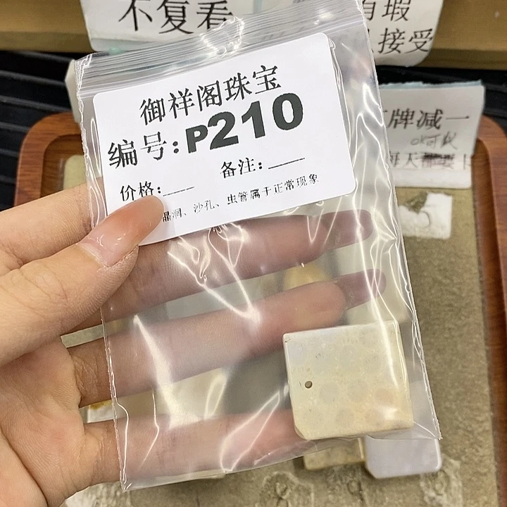 硅化珊瑚（珊瑚玉）未镶嵌颈饰腿***九