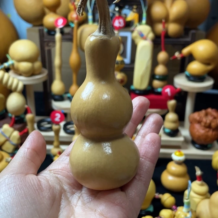 好***伤葫芦丝老师在讲英语听力