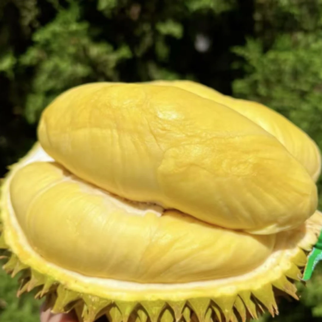 树上熟泰国新鲜树上熟新鲜榴莲核小4-8斤金枕泰国