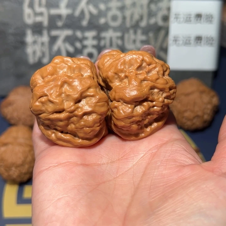 文玩核桃把件球**子蛤蟆43
