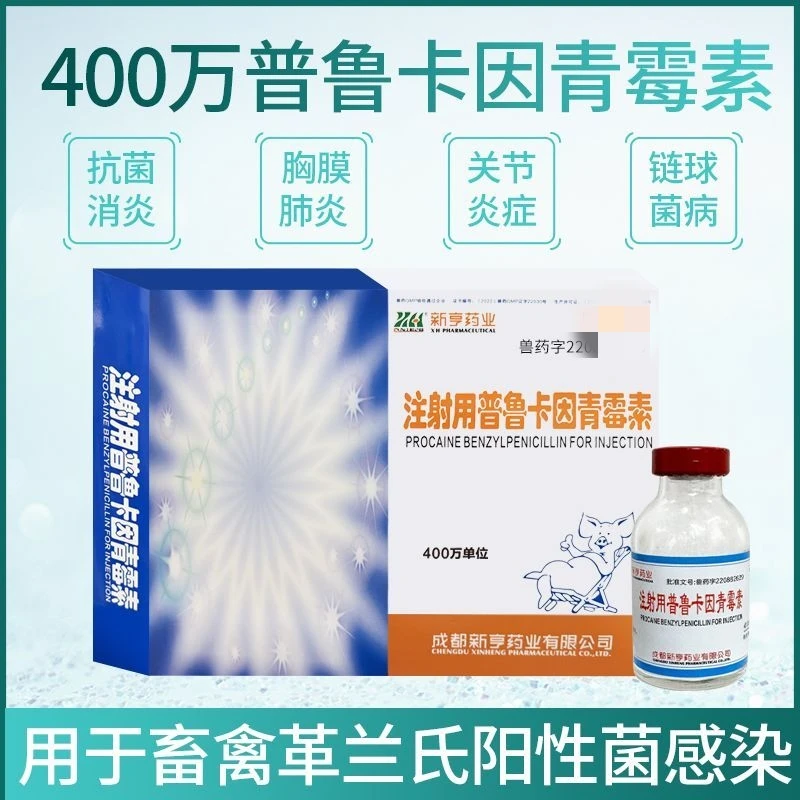 兽用正品盐酸普鲁卡因青霉素猪牛羊关节炎链球菌肺炎咳嗽消炎药