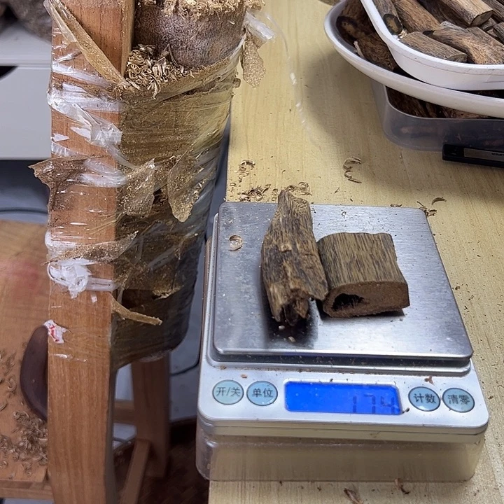 香料绿奇楠虫漏17克一张勺子