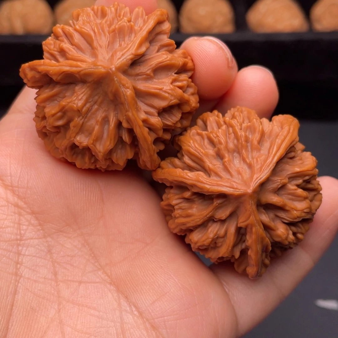 秦岭山脉文玩核桃