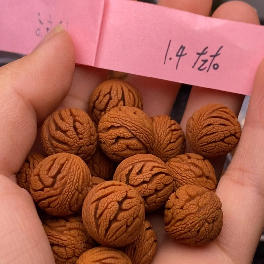 秦岭山脉龙纹桃核单圈