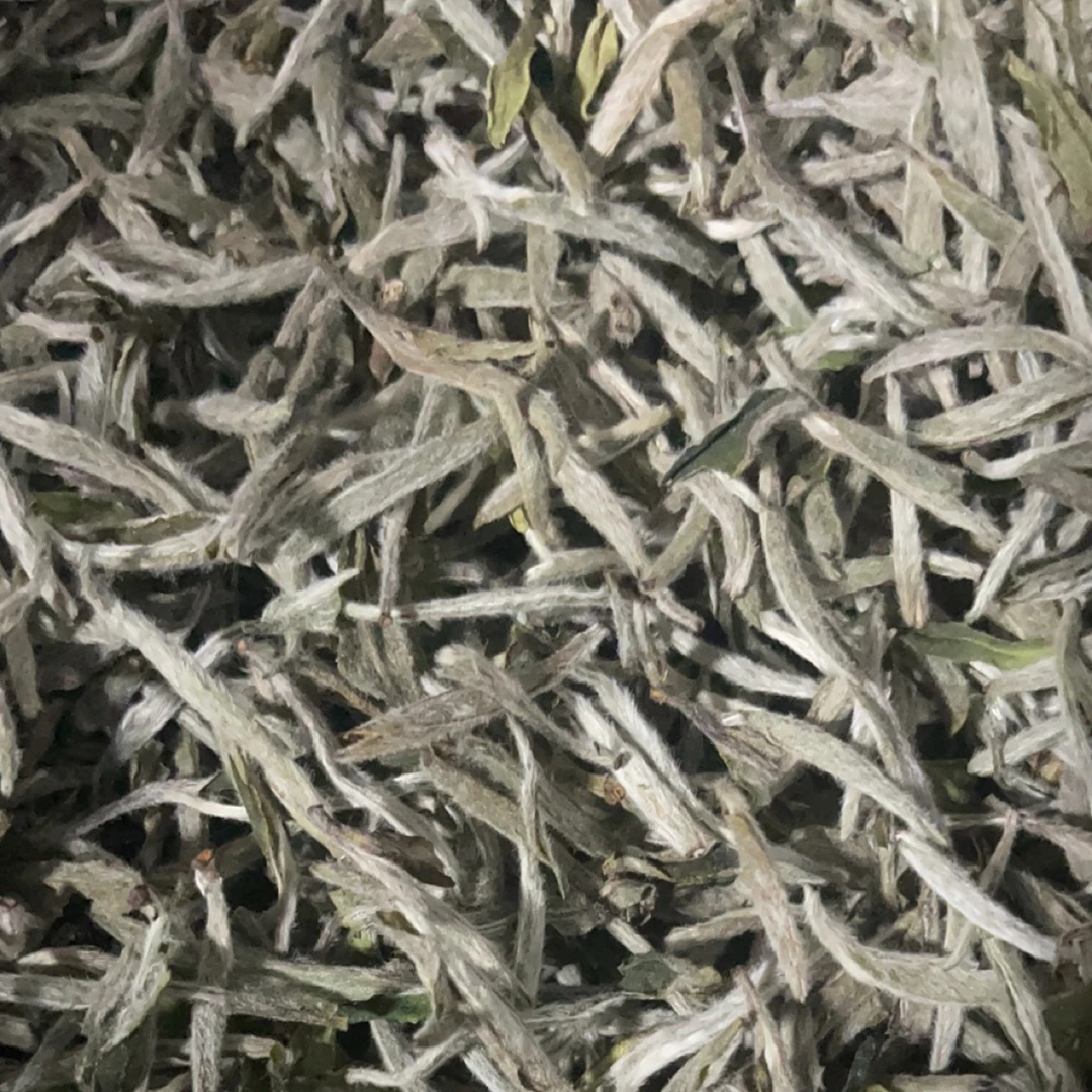 太极哥 2025中期 白毫银针 样品10g