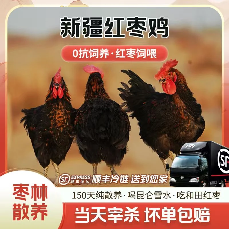3.5斤新疆无抗红枣鸡生态散养新鲜现杀营养健康山地散养1.7kg公鸡
