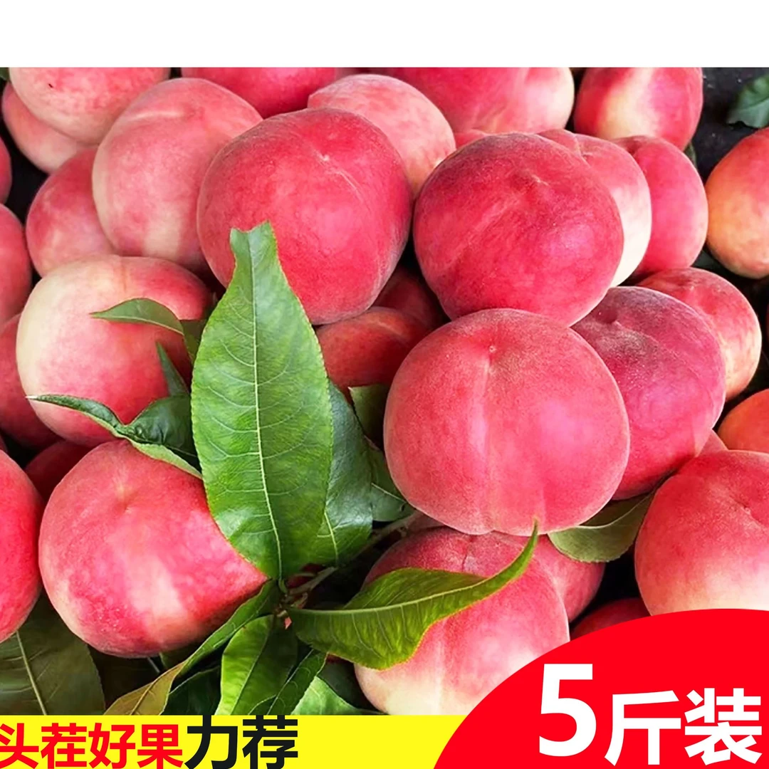 悦耘新鲜采摘脆甜多汁毛桃当季时令水果产地直发脆桃