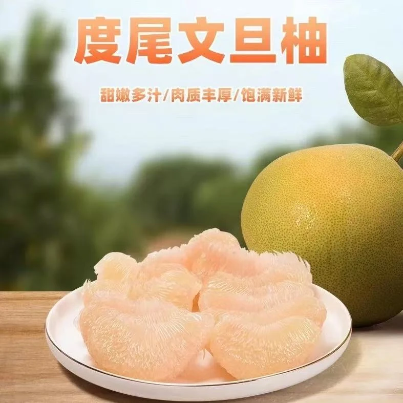 （5～20斤袋装无孔）正宗福建度尾红心文旦柚新鲜多汁孕妇时令水果