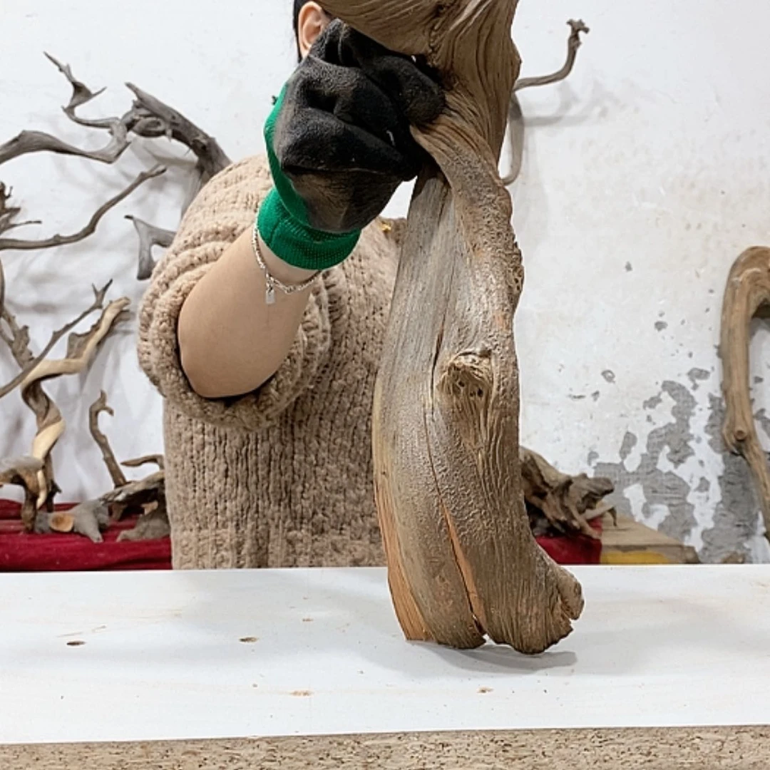 【闪购商品】柏木上***A我们都是好孩子