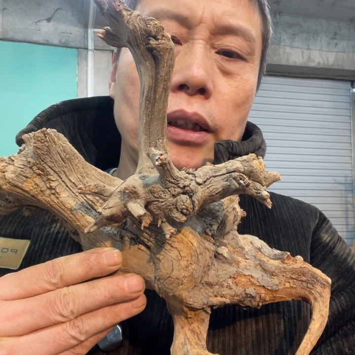 二*吴我们都是好孩子呀