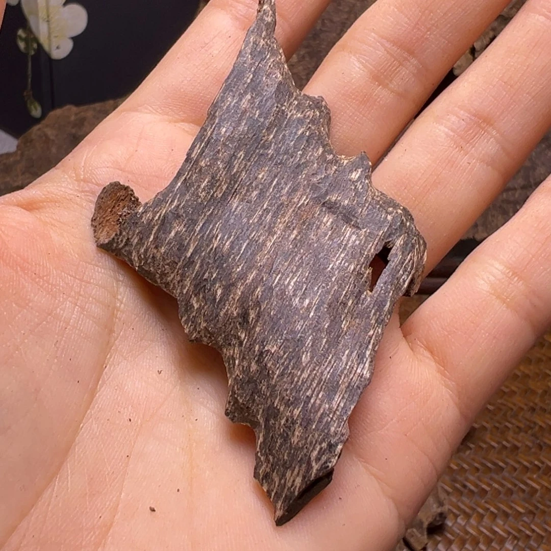 沉香沉香碎屑海南沉水老虫漏3.3克