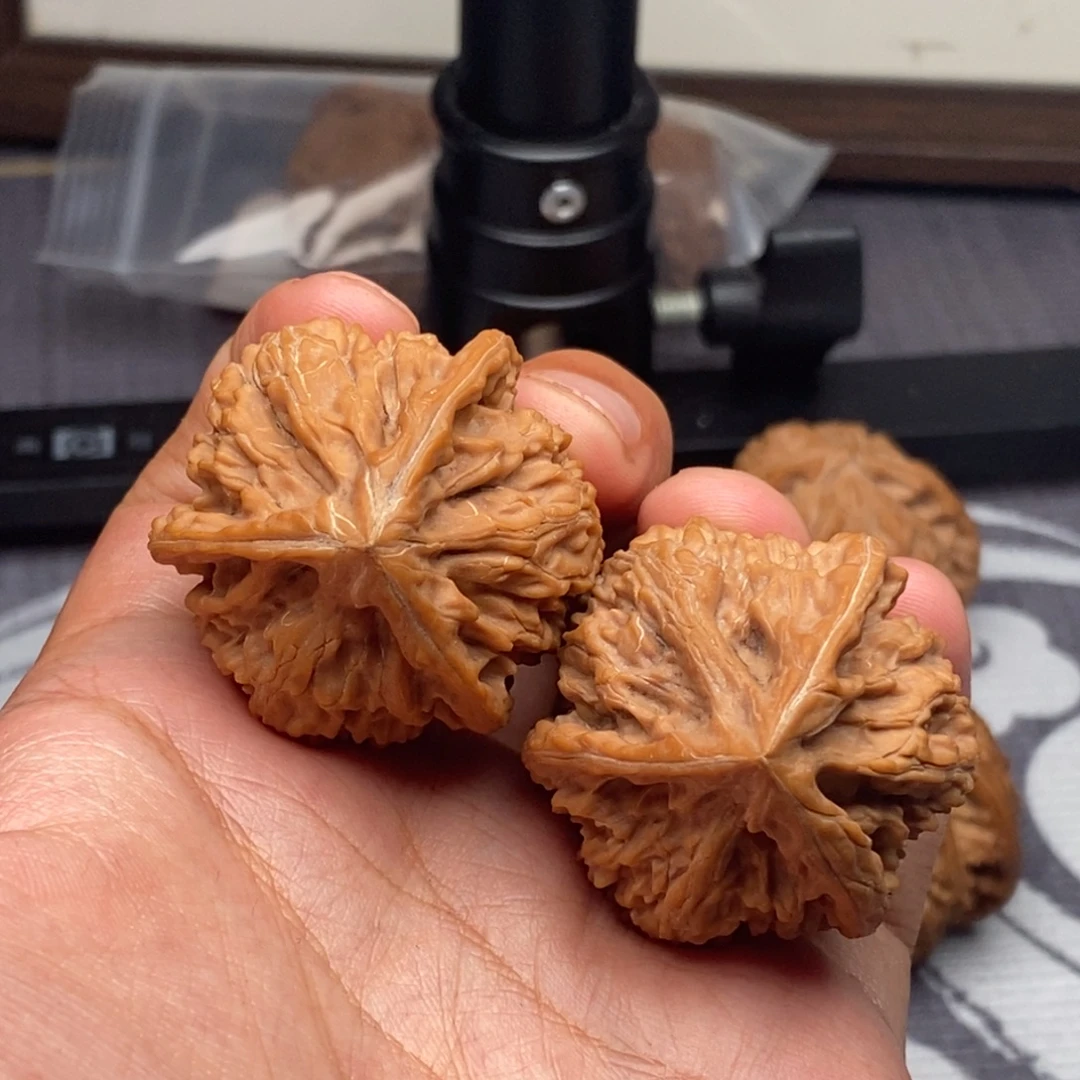 把件文玩核桃全品38御龙