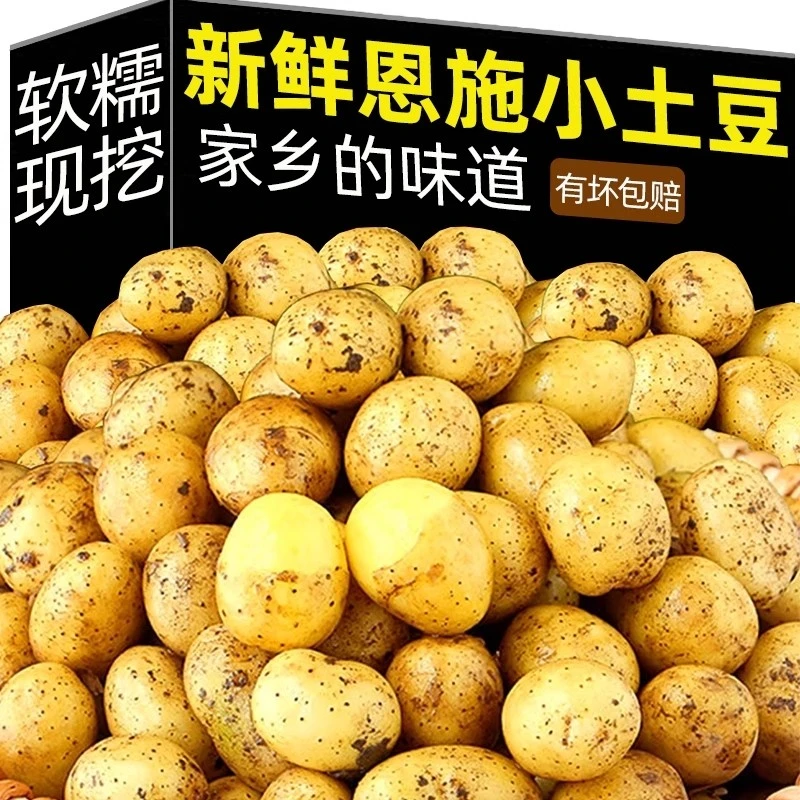 恩施小土豆新鲜现挖现发迷你马铃薯农家自种新鲜蔬菜