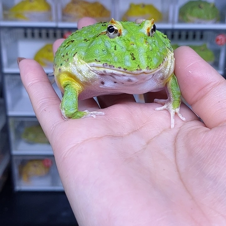 特价秒杀现货特价