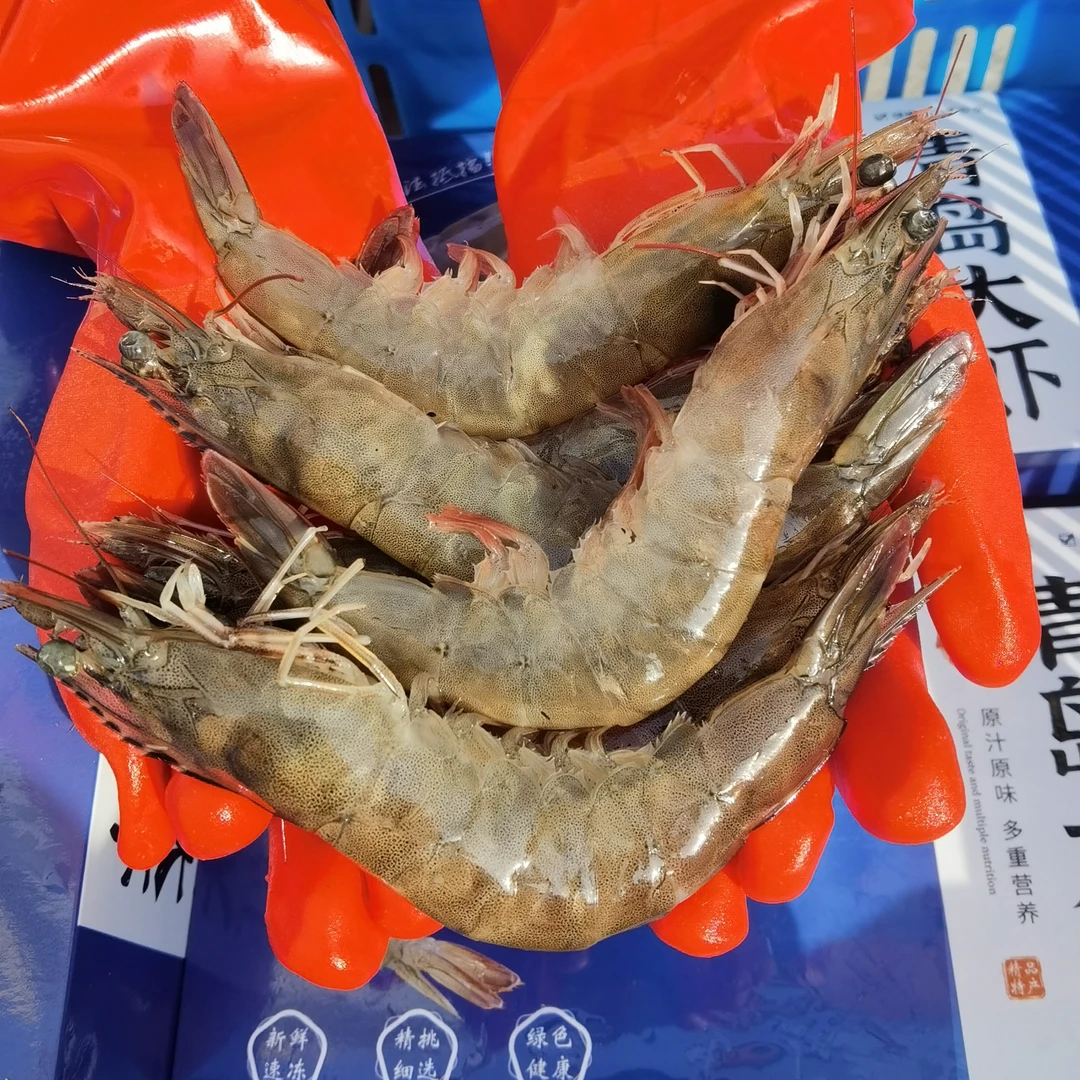 净5斤 （海水大虾）青岛 约13/16/17/20cm  活虾急速冻发货顺丰