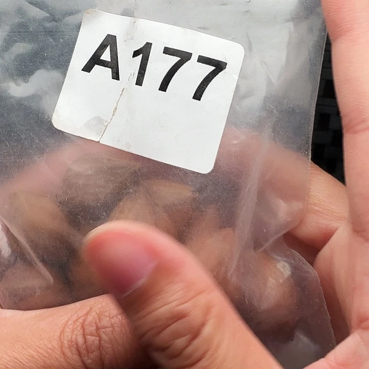 9***6手串/手链橄榄核橄榄