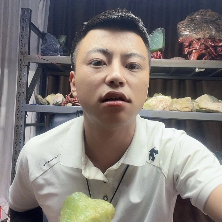 蓝***8蛇纹石玉未镶嵌珠宝奇石100