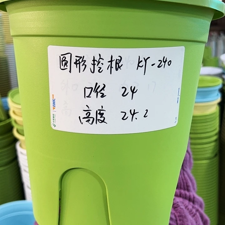 正品圆形控根口24高24果绿色8个无托