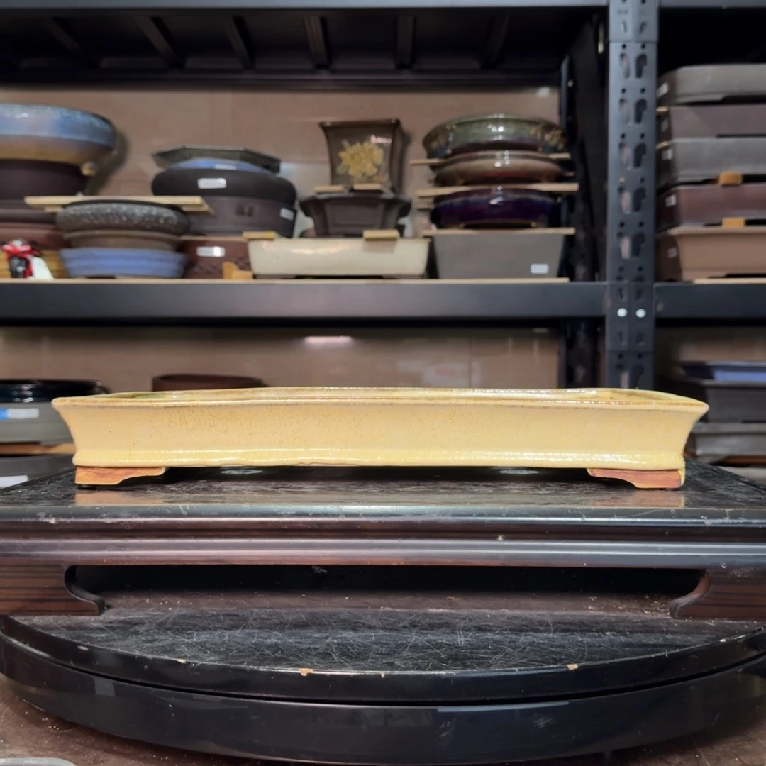 大*c g g g h f g