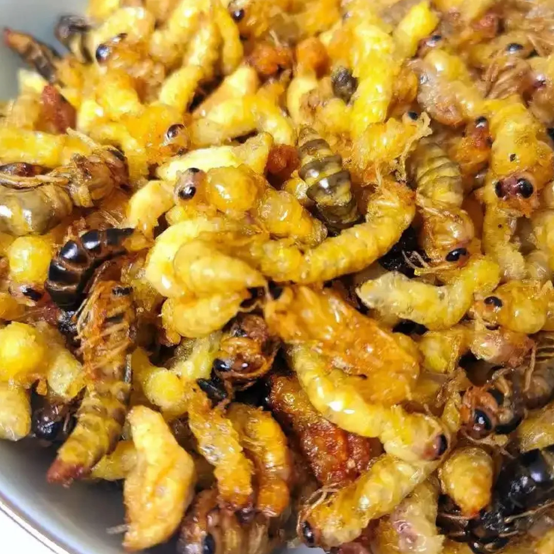 124级树蜂 新鲜纯菜籽油炸树蜂 【顺丰空运】