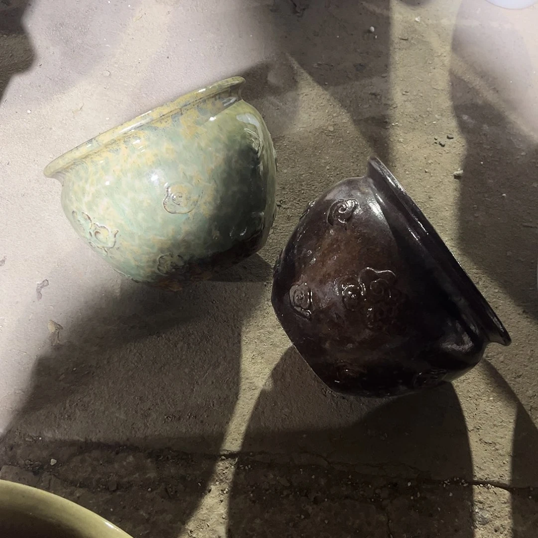 紫砂花盆里的小猫咪