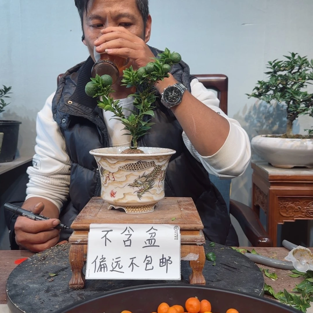 少量花朵（建议范围：2朵-5朵 或40%以下）银*梅