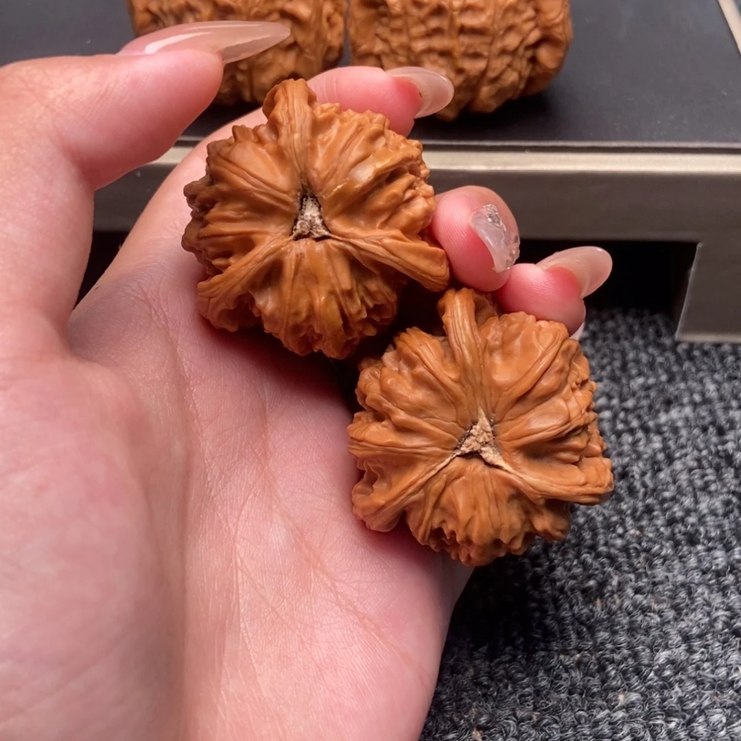 别***天木质类白狮子正奔