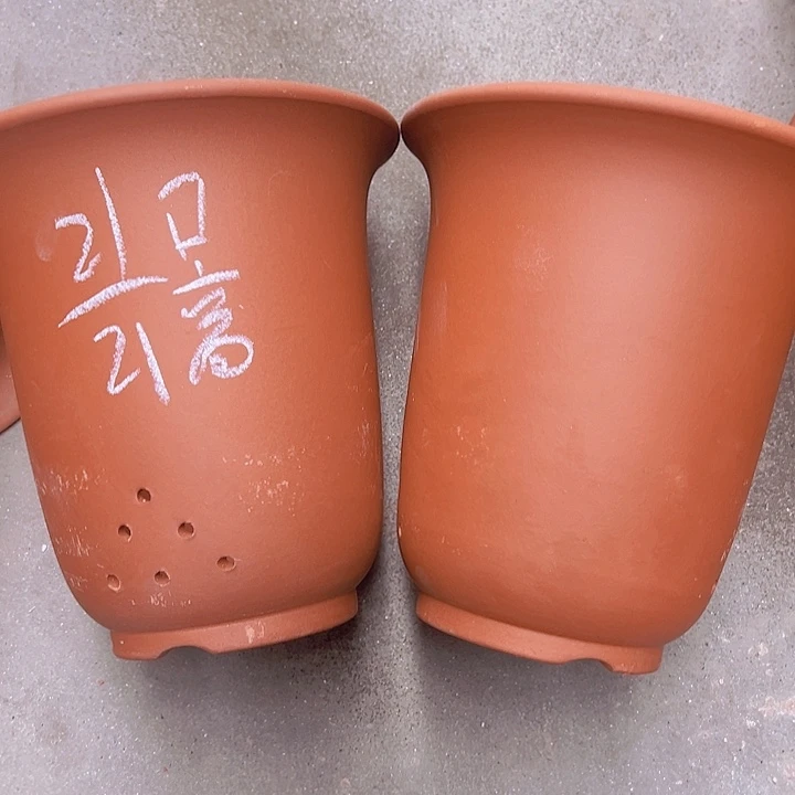 周深周深周深周深周深