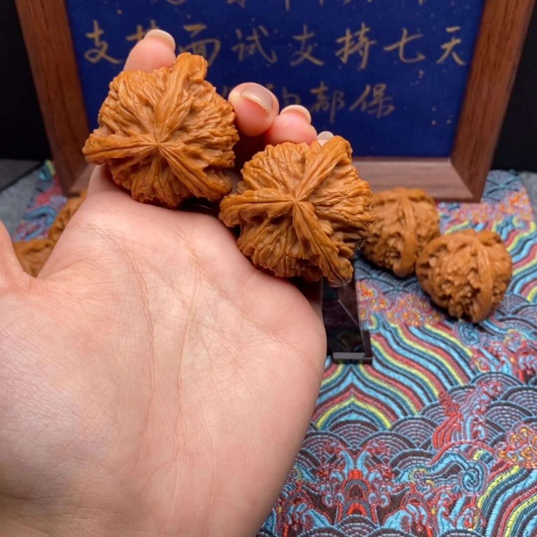 【闪购商品】?白狮