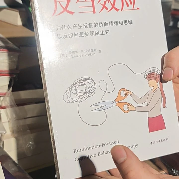 反刍效应平装库存书库存书