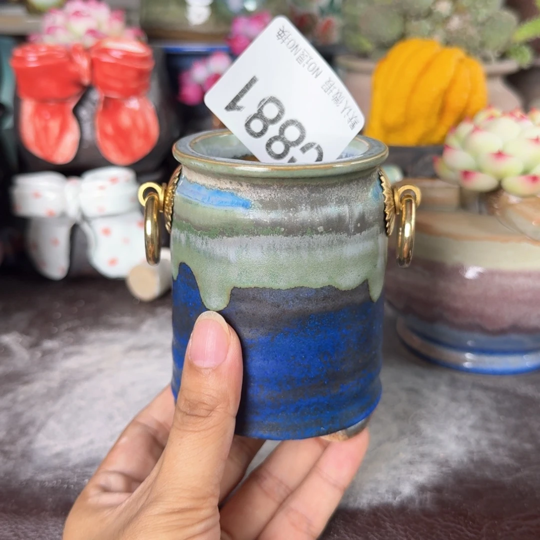 重庆小燕子欢迎大家881