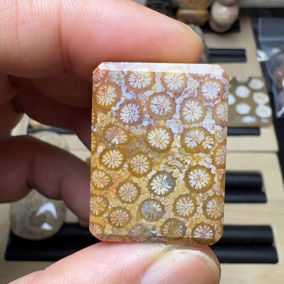 硅化珊瑚（珊瑚玉）未镶嵌纯天然色有机玉石保真色