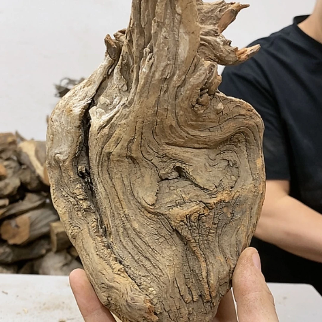 【闪购商品】柏木裕*轩我们都是在等的呢我们