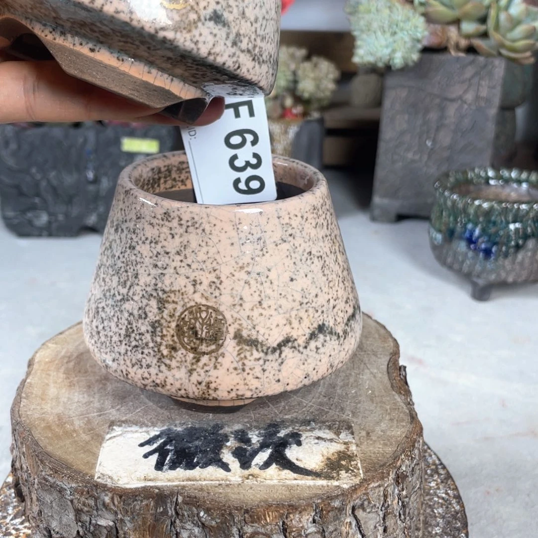 紫砂花盆任意发一个 陶瓷花盆