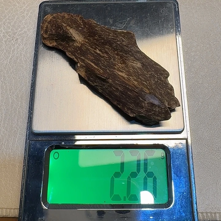 海南不沉壳子！！！！！