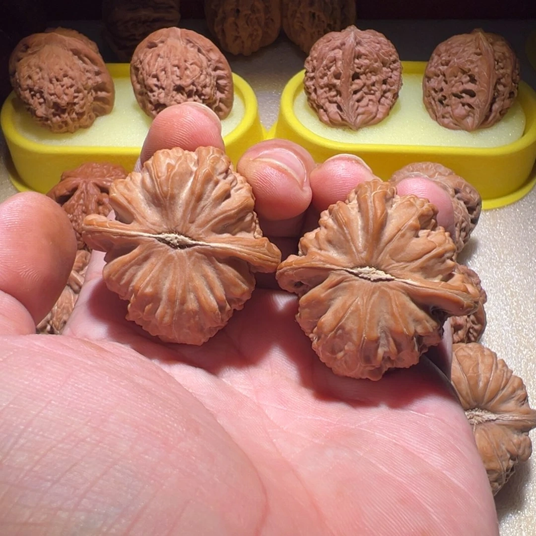 把件文玩核桃無**生40白狮子