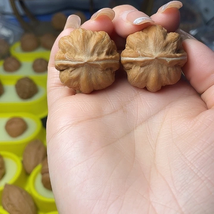 曾***你文玩核桃吊坠霸王龙