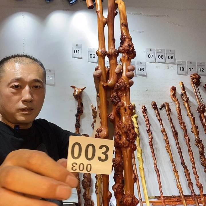虹***伴黑果木云南黑果木树榴摆件