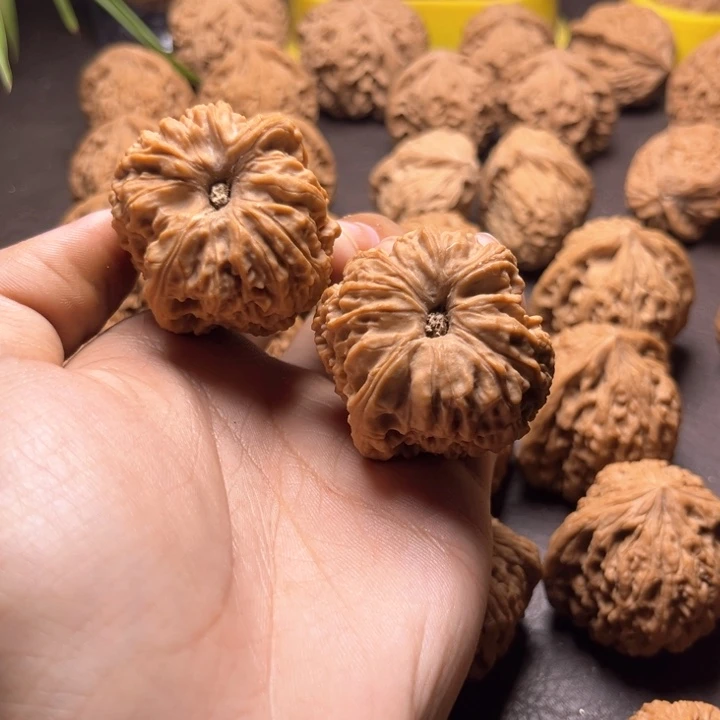 三**皮南疆石南疆石尖浮黄39