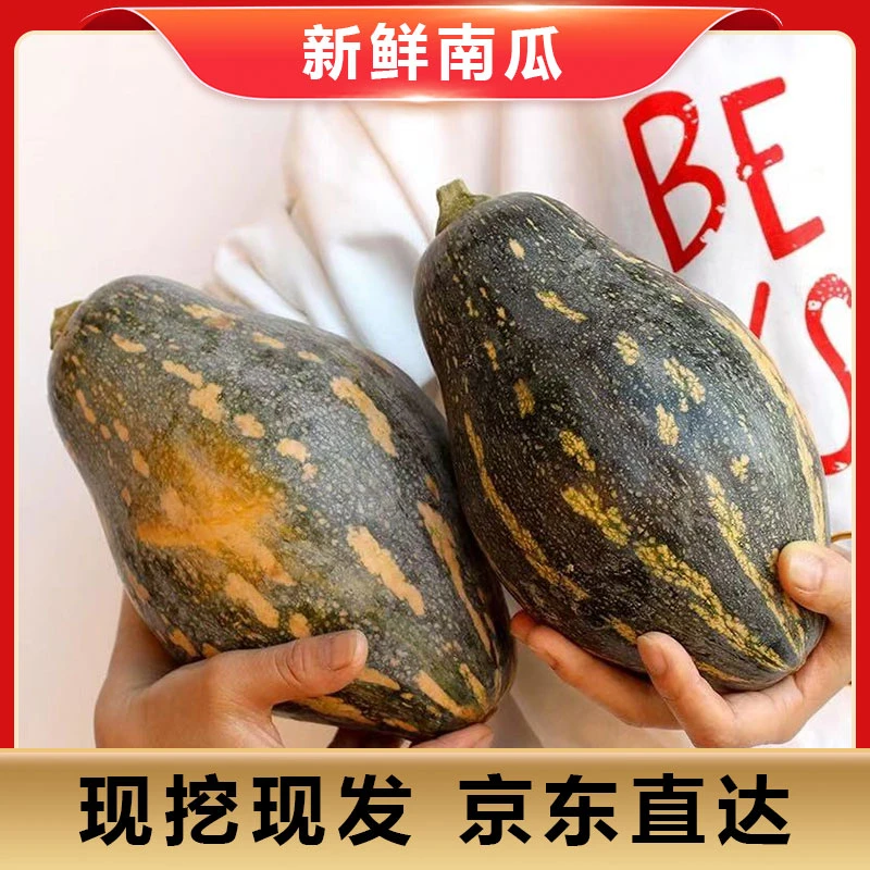 香芋南瓜 甜嫩可口1500-2000g