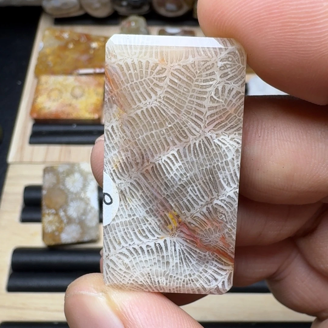 未镶嵌纯天然色有机玉石保真色硅化玉特价