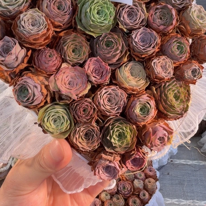 TT853 亚克力花盒玫瑰组合