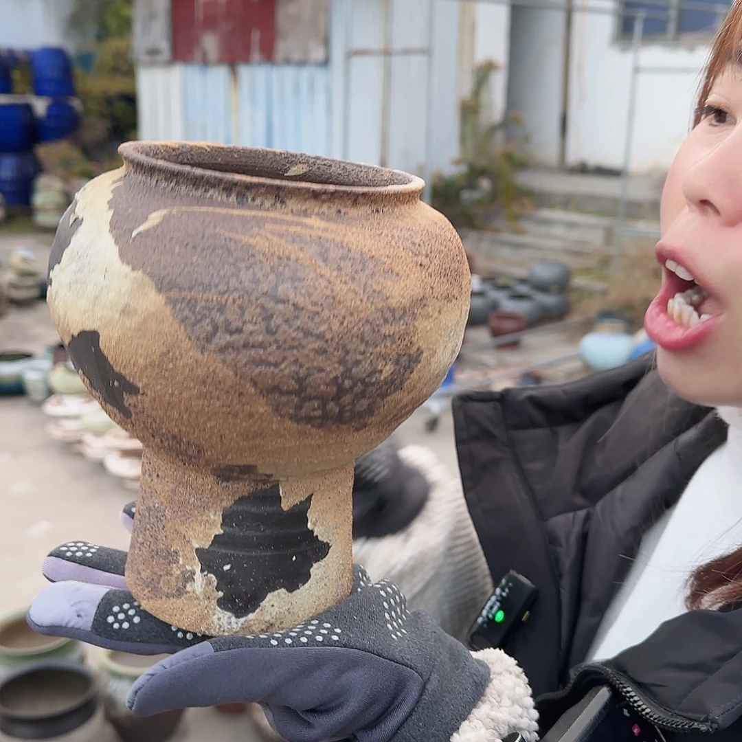 王嫂花盆直播1130-302高18口12