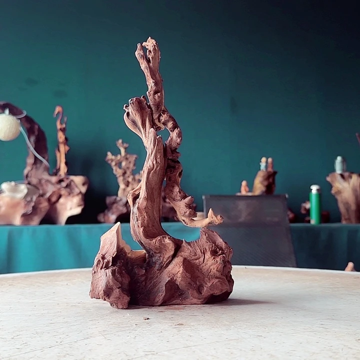 兵***范木679金丝红木羊蹄甲半成品