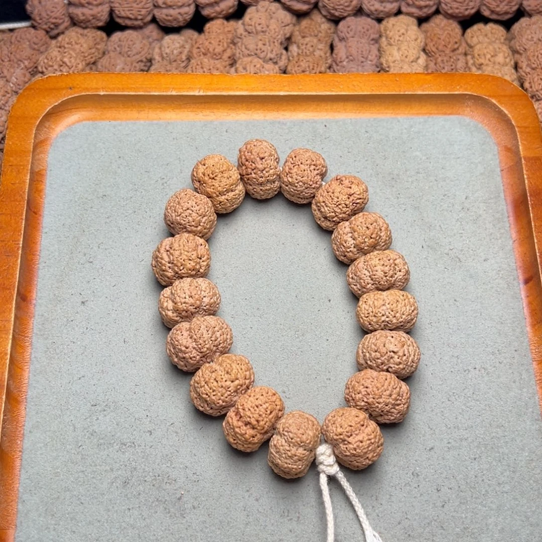 菩提4号金刚菩提菠萝蜜夹板21