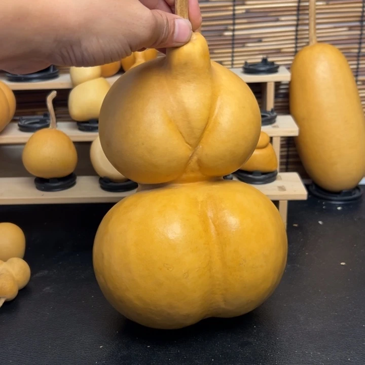 没***糕13655555555685699669