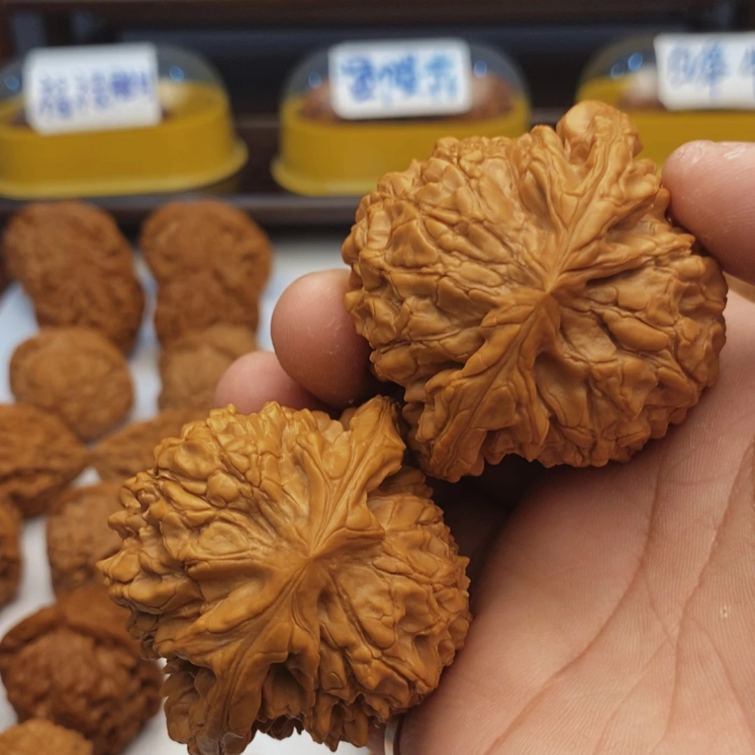 文玩核桃把件54尺龙鼎