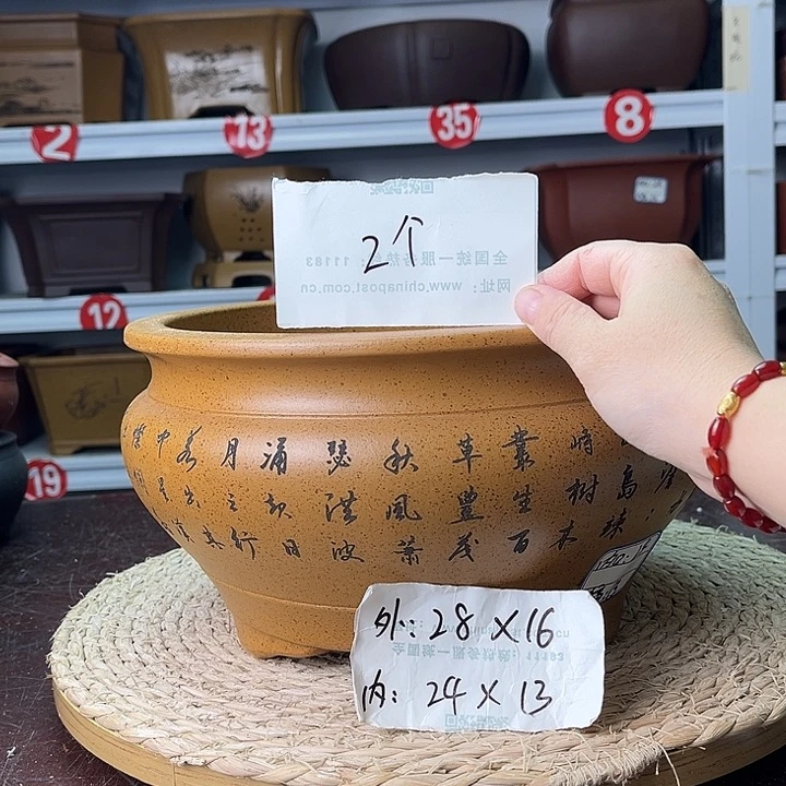 花盆紫砂你在一起