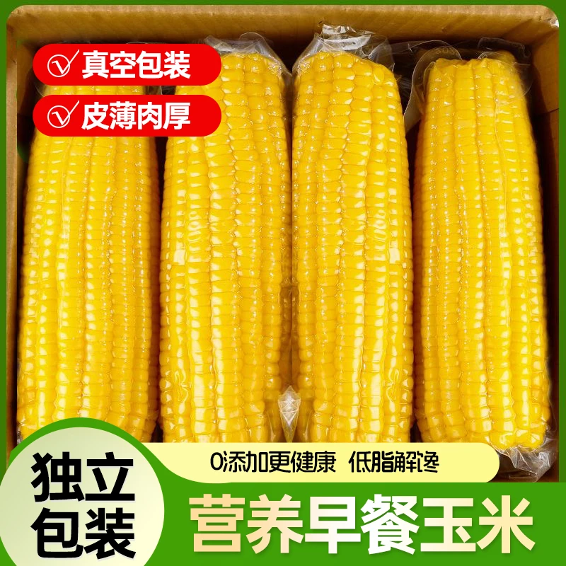 【新疆察布查尔县】黄糯玉米真空包装黏糯玉米代餐粗粮早餐甜8根