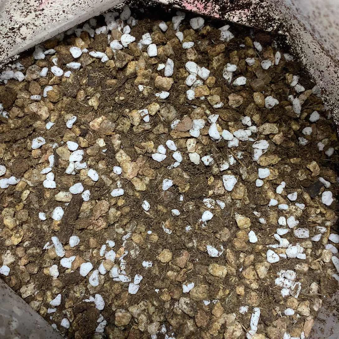 70颗粒土5斤装老猫猫